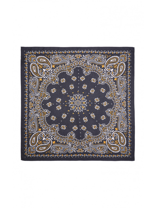 Foulard Wild PAISLEY MEDIUM