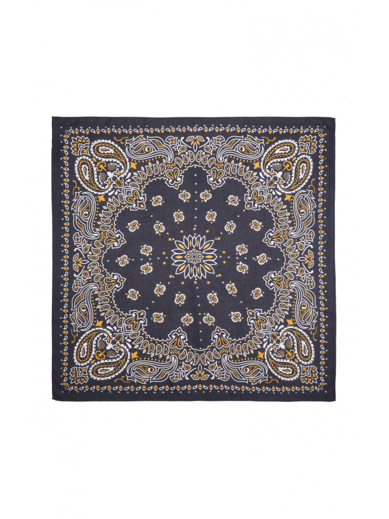 Foulard Wild PAISLEY MEDIUM