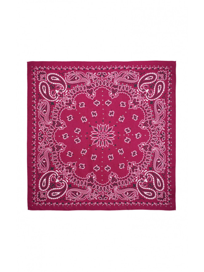Foulard Wild PAISLEY MEDIUM