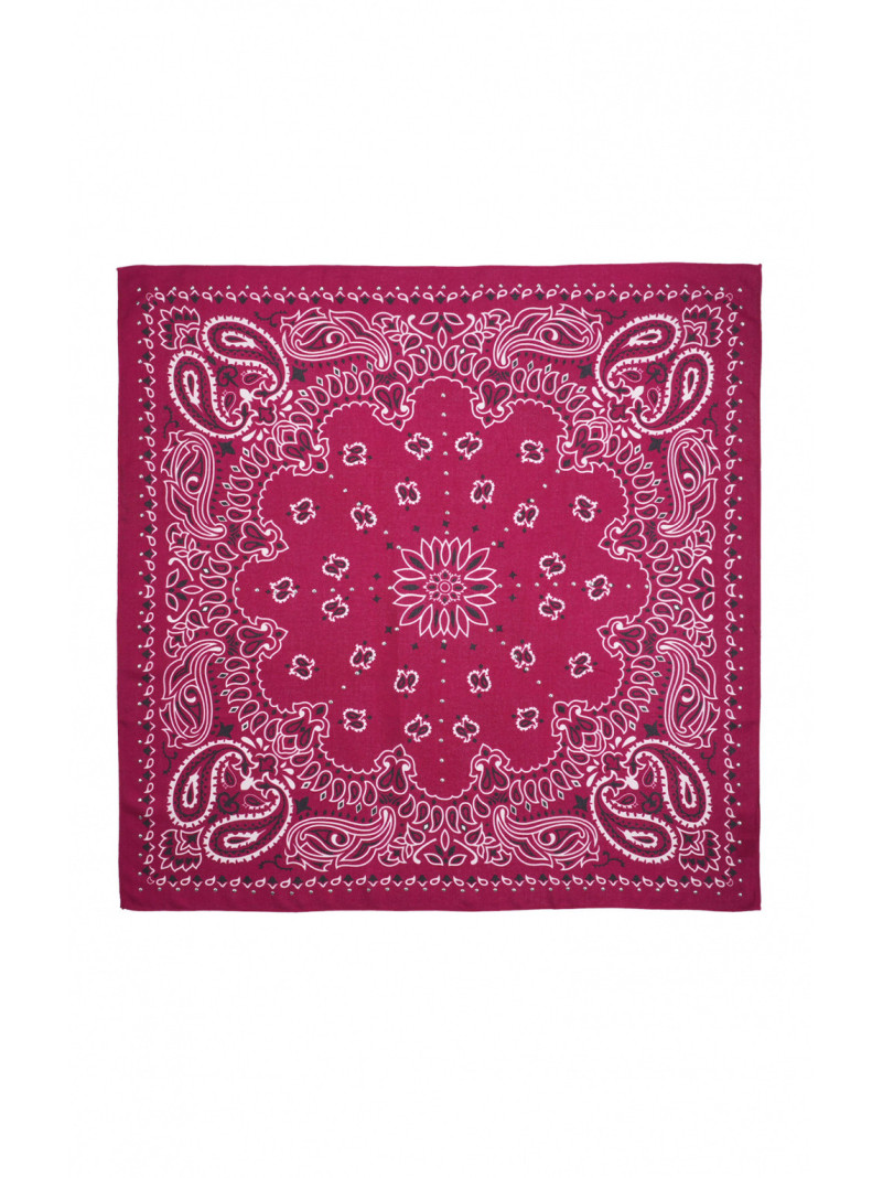 Foulard Wild PAISLEY MEDIUM