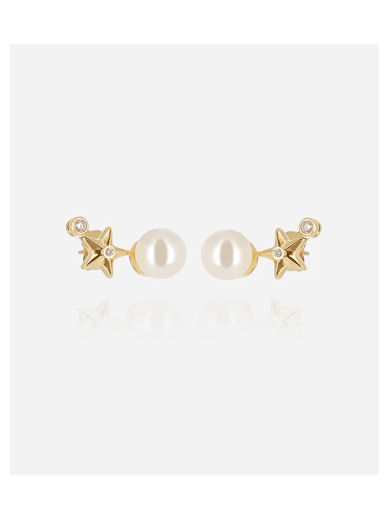 Boucles d'oreilles Zag TOPO